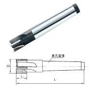 ����鿴��